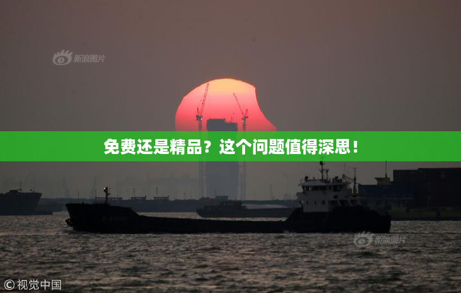 免费还是精品？这个问题值得深思！