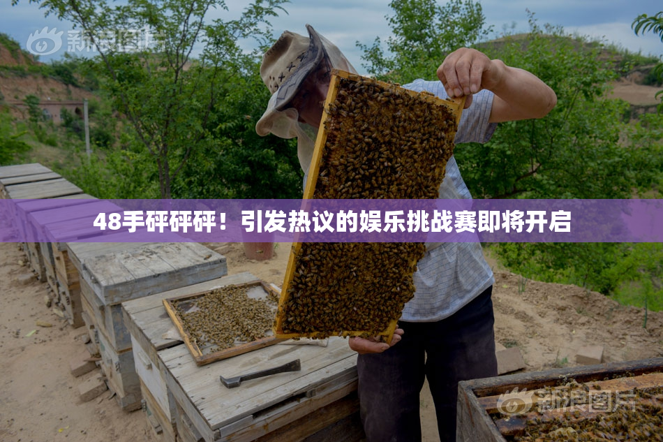 48手砰砰砰！引发热议的娱乐挑战赛即将开启