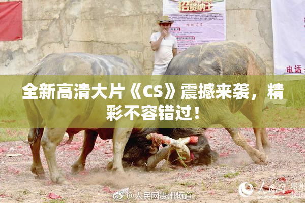 全新高清大片《CS》震撼来袭，精彩不容错过！