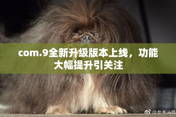 com.9全新升级版本上线，功能大幅提升引关注