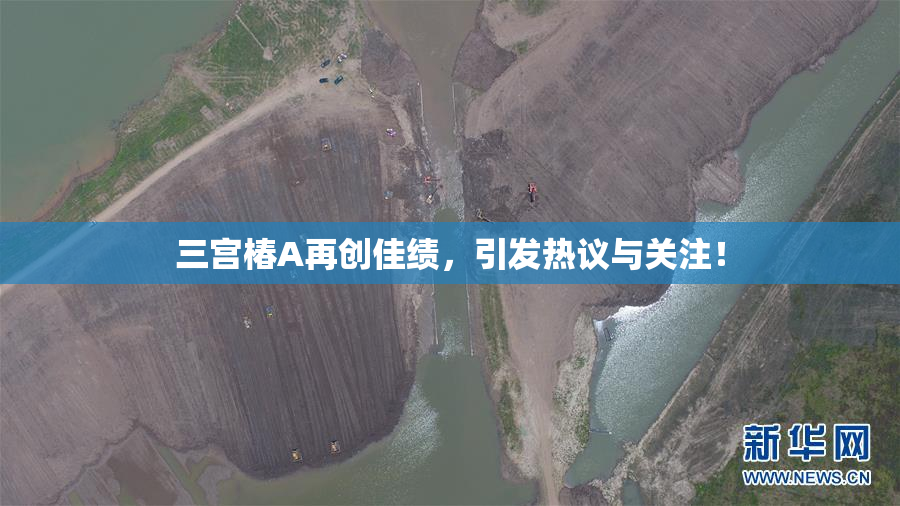 三宫椿A再创佳绩，引发热议与关注！
