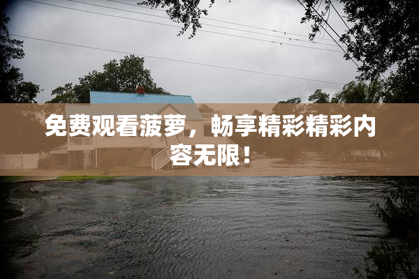 免费观看菠萝，畅享精彩精彩内容无限！