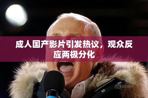 成人国产影片引发热议，观众反应两极分化