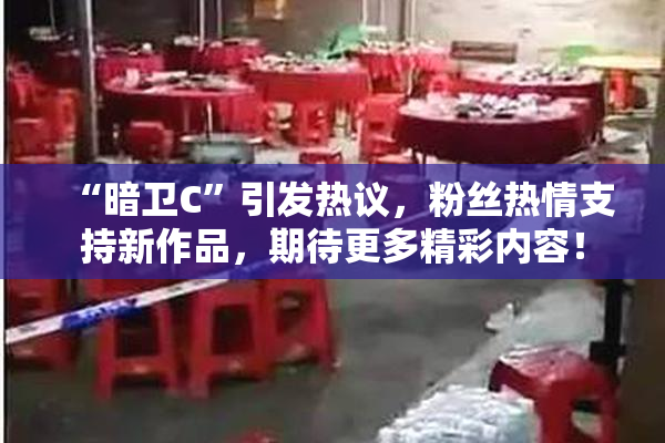 “暗卫C”引发热议，粉丝热情支持新作品，期待更多精彩内容！