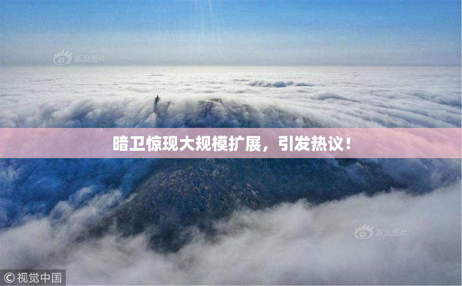 暗卫惊现大规模扩展，引发热议！
