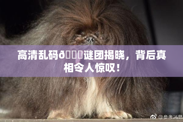 高清乱码🔞谜团揭晓，背后真相令人惊叹！