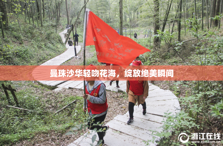 曼珠沙华轻吻花海，绽放绝美瞬间