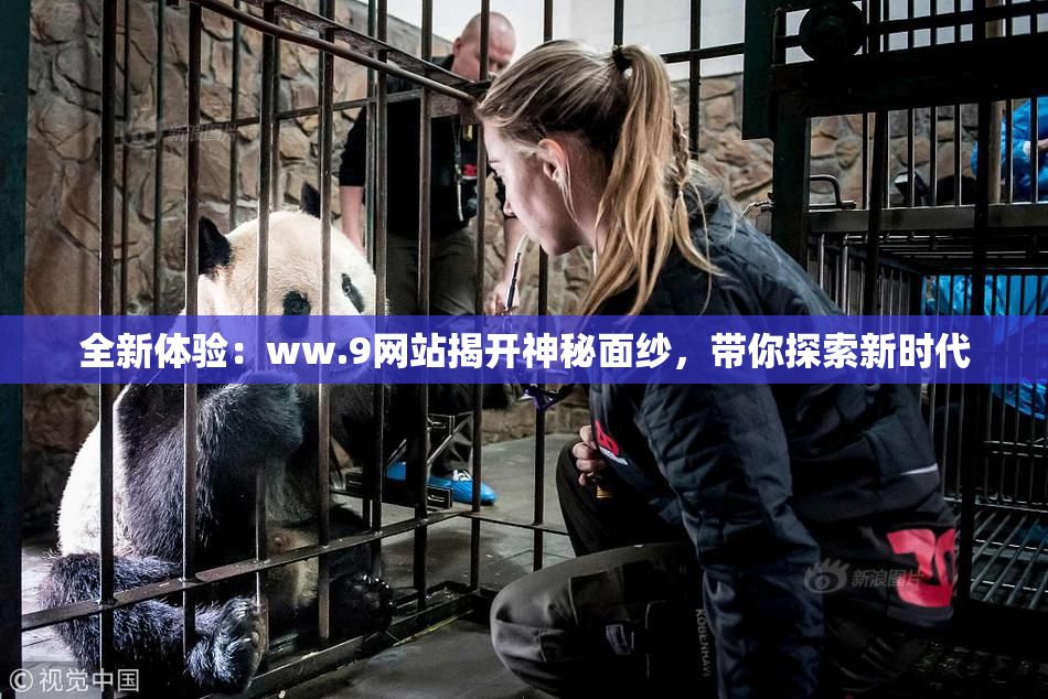 全新体验：ww.9网站揭开神秘面纱，带你探索新时代