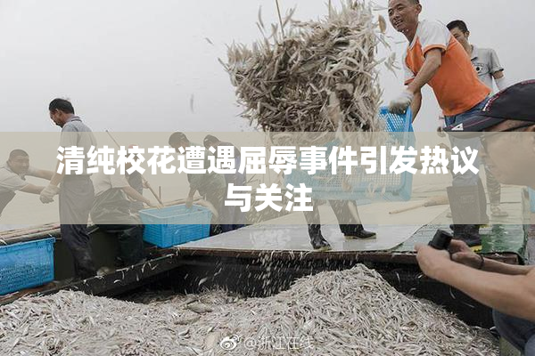 清纯校花遭遇屈辱事件引发热议与关注