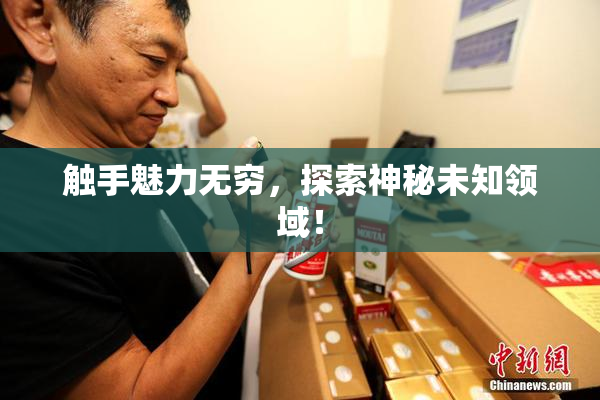 触手魅力无穷，探索神秘未知领域！