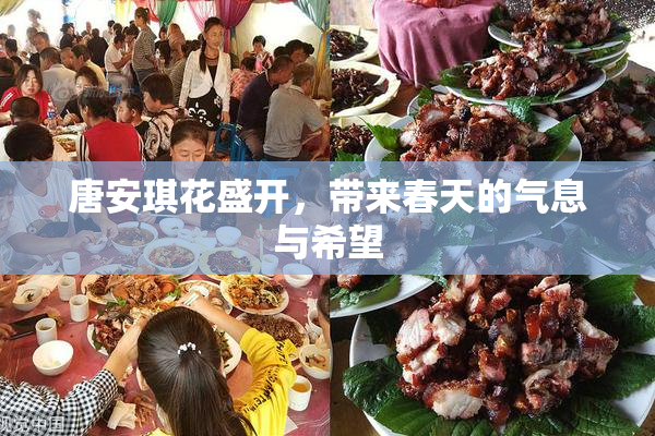唐安琪花盛开，带来春天的气息与希望
