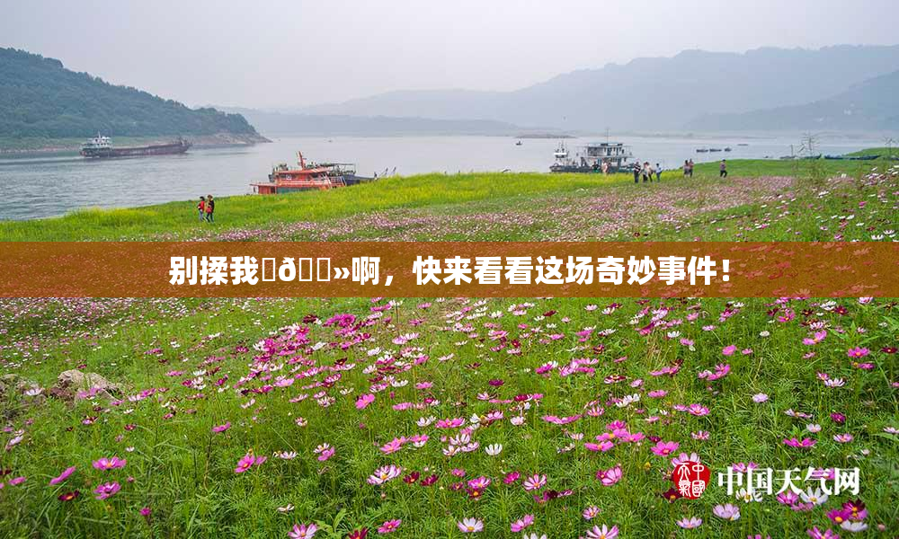 别揉我‌🐻啊，快来看看这场奇妙事件！