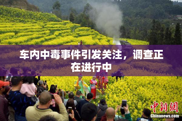车内中毒事件引发关注，调查正在进行中