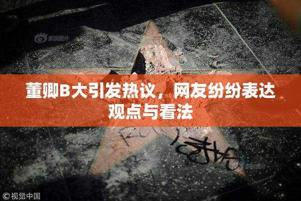 董卿B大引发热议，网友纷纷表达观点与看法