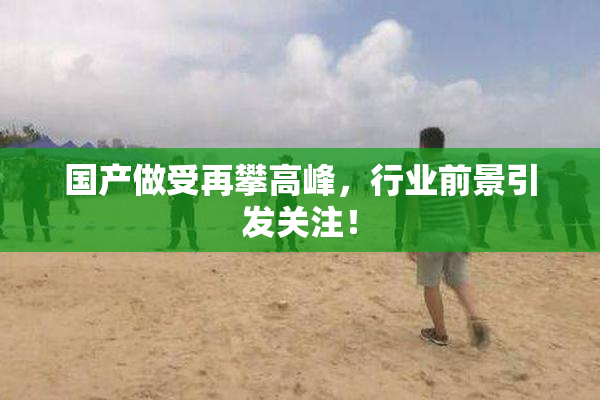 国产做受再攀高峰，行业前景引发关注！