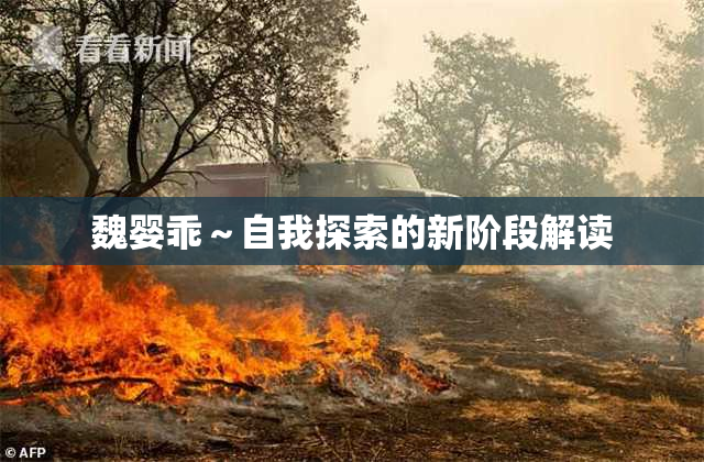 魏婴乖～自我探索的新阶段解读