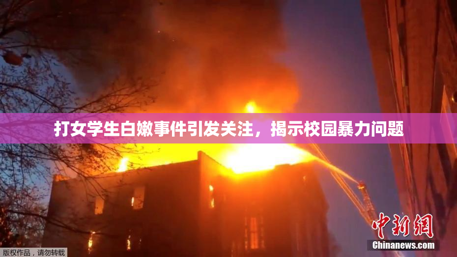 打女学生白嫩事件引发关注，揭示校园暴力问题