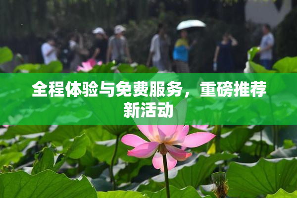 全程体验与免费服务，重磅推荐新活动