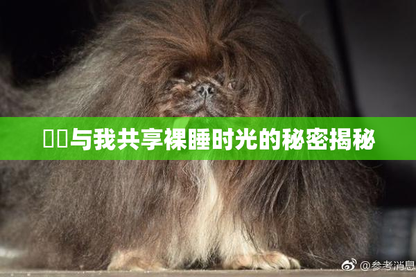 妺妺与我共享裸睡时光的秘密揭秘