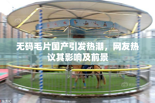 无码毛片国产引发热潮，网友热议其影响及前景