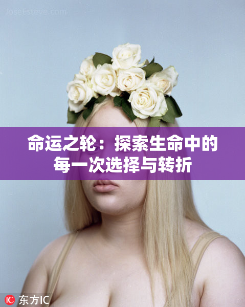 命运之轮：探索生命中的每一次选择与转折