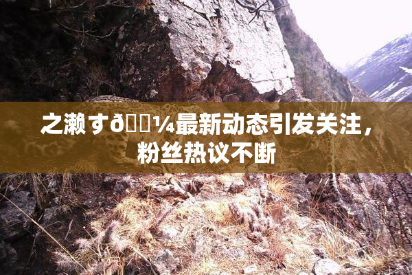 之濑す🌼最新动态引发关注，粉丝热议不断