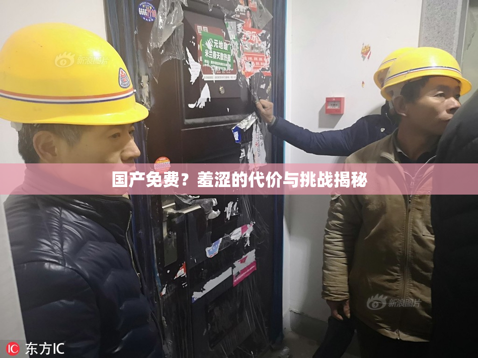 国产免费？羞涩的代价与挑战揭秘