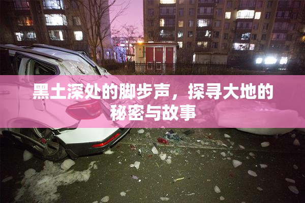 黑土深处的脚步声，探寻大地的秘密与故事