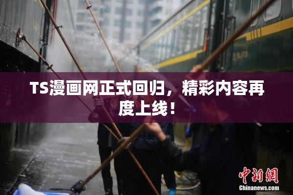 TS漫画网正式回归，精彩内容再度上线！