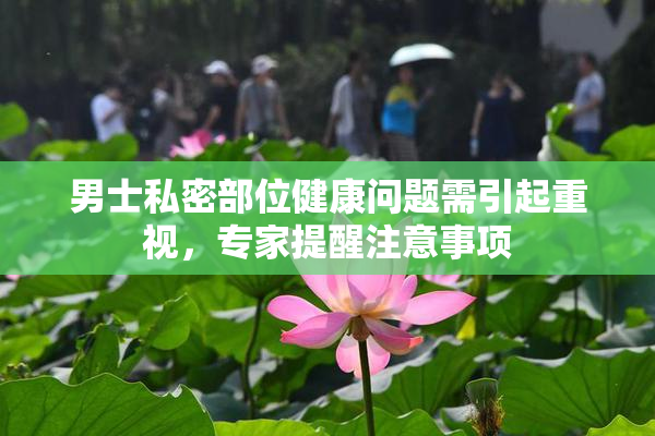 男士私密部位健康问题需引起重视，专家提醒注意事项