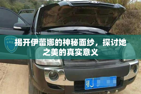 揭开伊蕾娜的神秘面纱，探讨她之美的真实意义