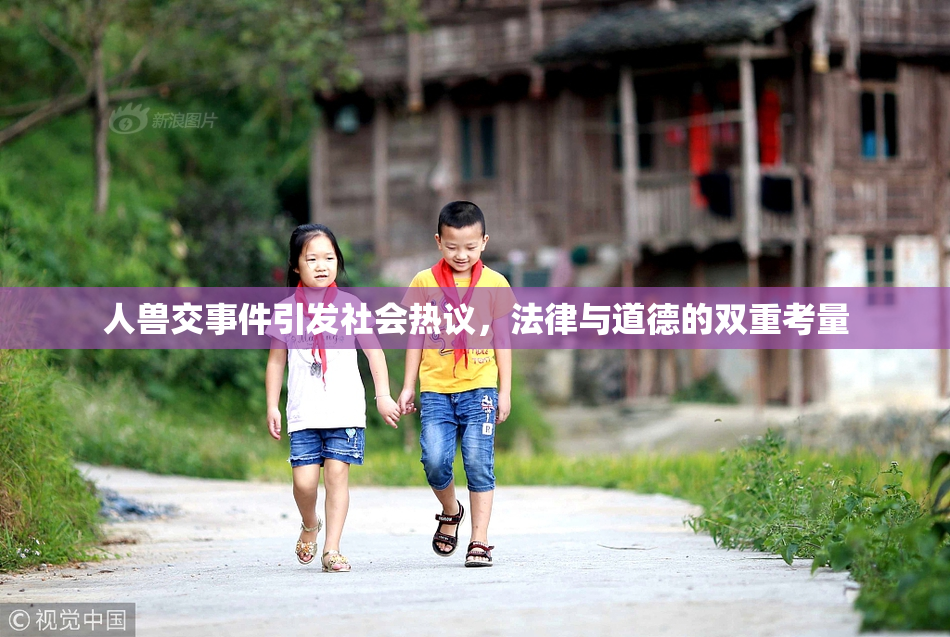 人兽交事件引发社会热议，法律与道德的双重考量