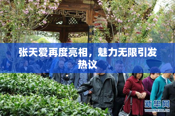 张天爱再度亮相，魅力无限引发热议