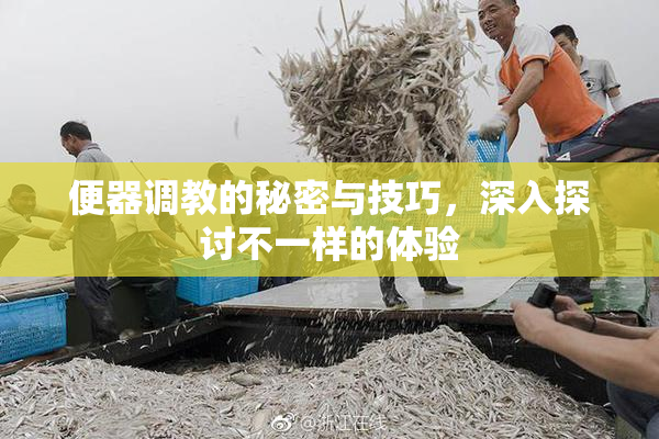 便器调教的秘密与技巧，深入探讨不一样的体验