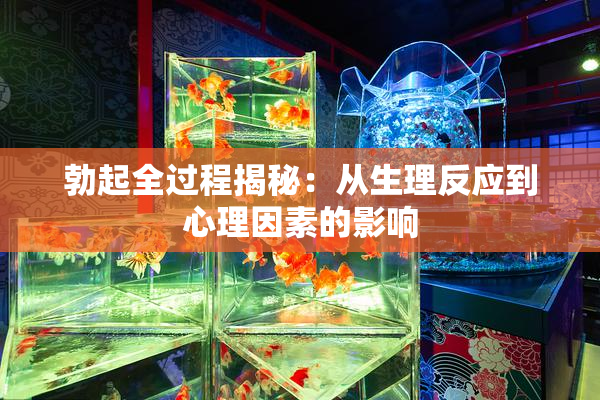 勃起全过程揭秘：从生理反应到心理因素的影响