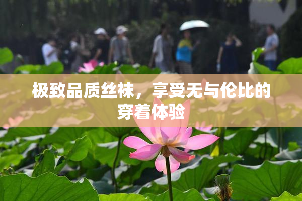 极致品质丝袜，享受无与伦比的穿着体验