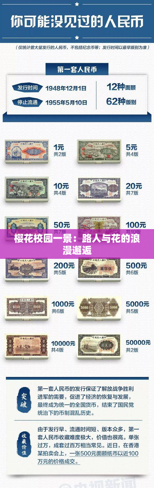 樱花校园一景：路人与花的浪漫邂逅