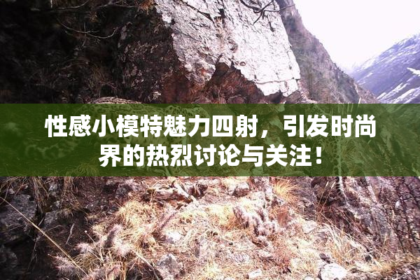 性感小模特魅力四射，引发时尚界的热烈讨论与关注！