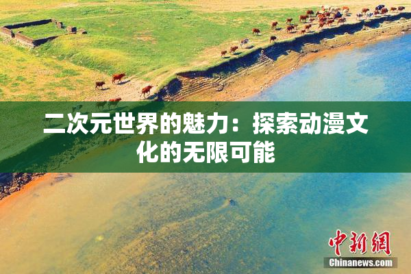 二次元世界的魅力：探索动漫文化的无限可能