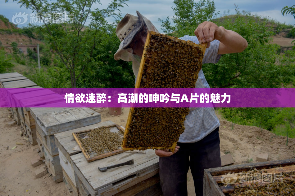 情欲迷醉：高潮的呻吟与A片的魅力