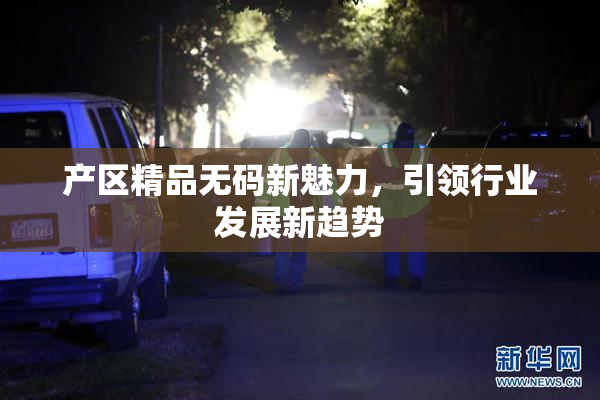 产区精品无码新魅力，引领行业发展新趋势