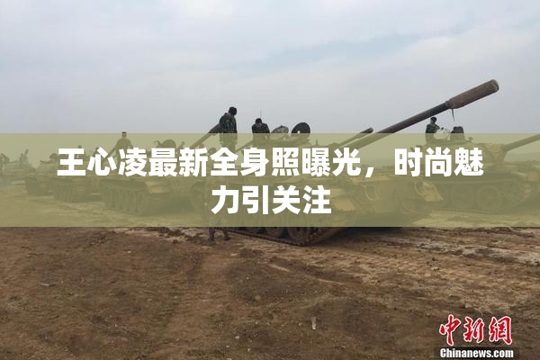 王心凌最新全身照曝光，时尚魅力引关注