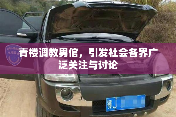 青楼调教男倌，引发社会各界广泛关注与讨论