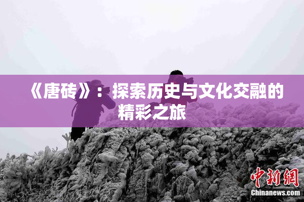 《唐砖》：探索历史与文化交融的精彩之旅