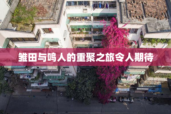雏田与鸣人的重聚之旅令人期待