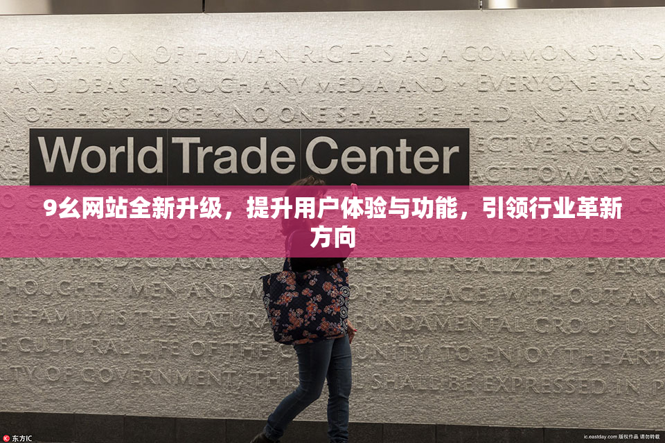 9幺网站全新升级，提升用户体验与功能，引领行业革新方向