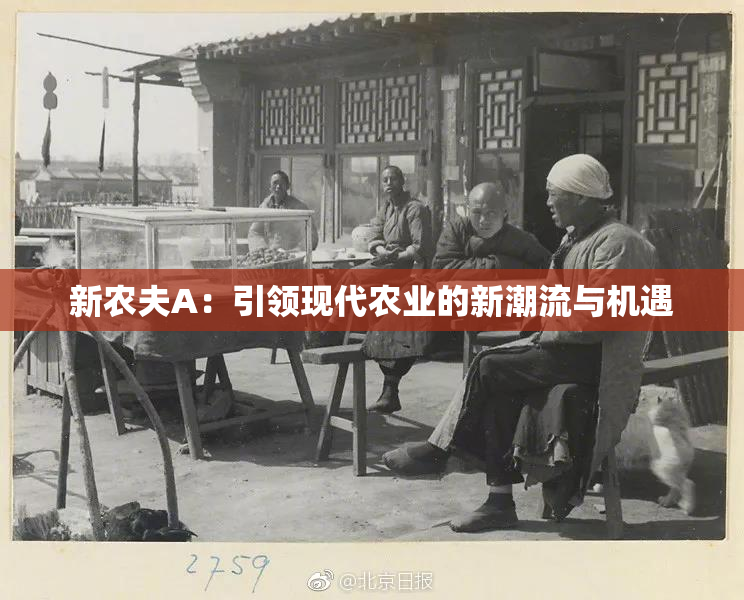 新农夫A：引领现代农业的新潮流与机遇