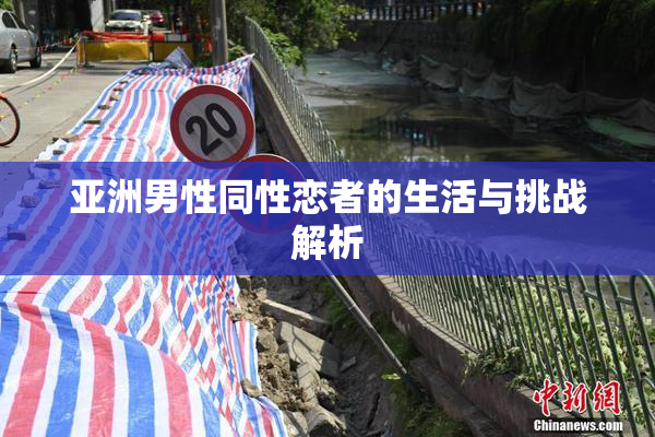 亚洲男性同性恋者的生活与挑战解析