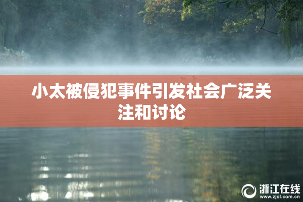 小太被侵犯事件引发社会广泛关注和讨论