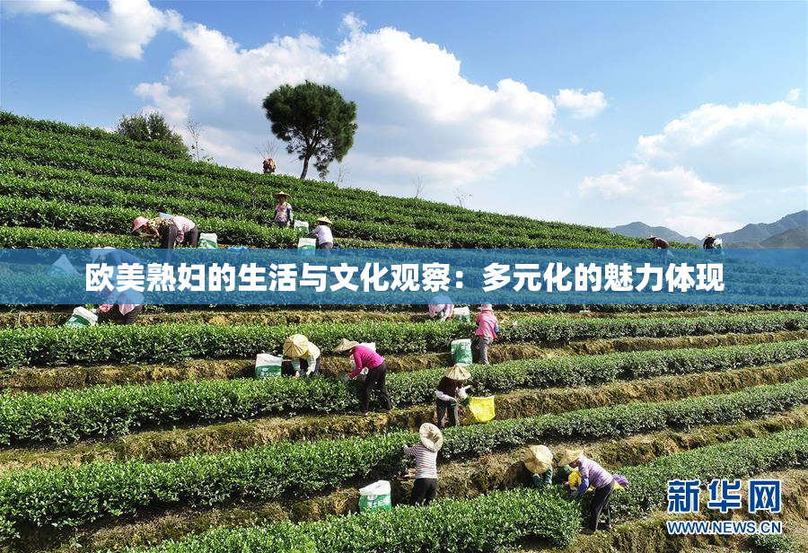 欧美熟妇的生活与文化观察：多元化的魅力体现